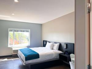 un dormitorio con una cama y una ventana en Studio 6 Richmond Airport, en Sandston