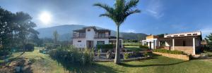 a house with a palm tree in front of it at hotel torres del viento in Villa de Leyva