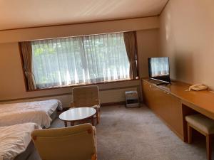 TV a/nebo společenská místnost v ubytování Lake Side Nikko Hotel