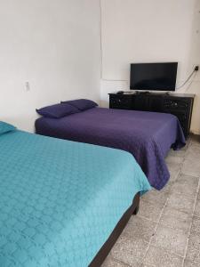 Habitación con 2 camas y TV. en Casa Kika, en Mazatlán