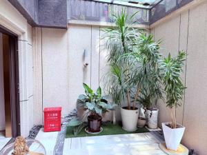 A garden outside Yunshan Xiaoyuan
