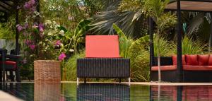 Bazén v ubytování Eureka Villas Siem Reap nebo v jeho okolí