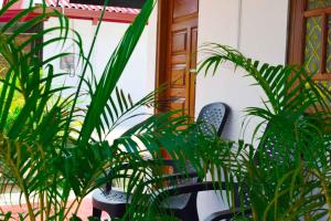Κήπος έξω από το Jungle View Inn