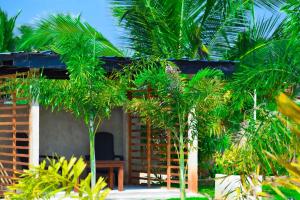 Κήπος έξω από το Jungle View Inn