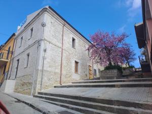 ein Gebäude mit Treppe und ein Baum mit rosa Blüten in der Unterkunft Domo BM in Ossi