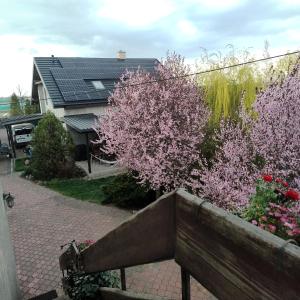 Κήπος έξω από το Apartament pod Toruniem