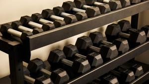 Fitness centrum a/nebo fitness zařízení v ubytování Hotel Indigo Auckland by IHG