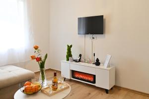 a living room with a fireplace and a tv on a wall at Apartman KALINA in Bileća
