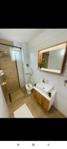 a bathroom with a sink and a toilet and a mirror at Villa Ruscello in Grabovac