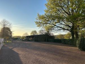 a gravel road with a building and a tree at Studio indépendant avec cour in Tennie