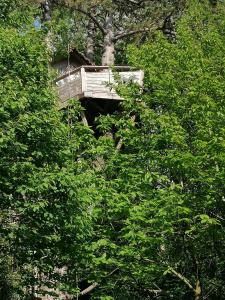 エトルタにあるSHERWOOD TREEの木々に囲まれた木製の橋 +15枚の写真