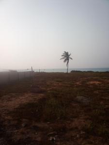 Φυσικό τοπίο κοντά σε αυτή η βίλα