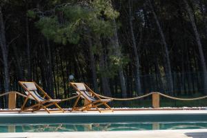 two chairs sitting next to a swimming pool at The Forest Villa in Kos +38 photos
