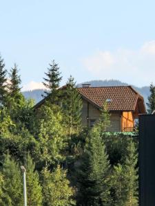 Príroda v okolí apartmánu