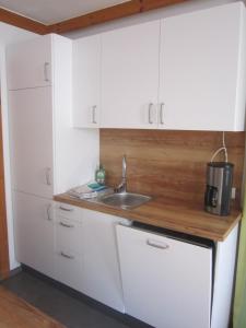 Kuchyň nebo kuchyňský kout v ubytování Kachelofenwohnung Pölzleitner