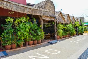a row of plants on the side of a building at Anthena Hotel in Athi River