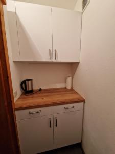 Kuchyň nebo kuchyňský kout v ubytování Kachelofenwohnung Pölzleitner + 37 fotografií