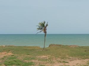 Φυσικό τοπίο κοντά σε αυτή η βίλα