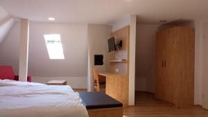 TV a/nebo společenská místnost v ubytování Hotel Zum Rebstock