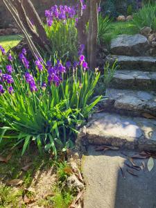 Zahrada ubytování Location gîte dans le var