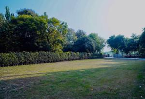 Zahrada ubytování Yuturn Hotel