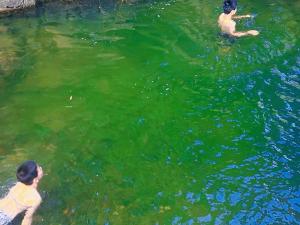 Vista de un río que corre cerca de la habitación en casa particular