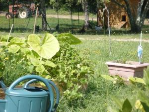 Zahrada ubytování Camping 3 étoiles - Parc aquatique - ccbbaia