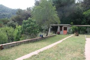 Príroda v okolí farmy