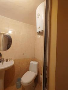 un piccolo bagno con un water e un lavandino di Cozy little flat in Karlovo a Karlovo