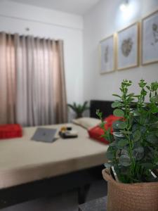 Una cama o camas en una habitación de The Pinteresty Home 3 fotos más