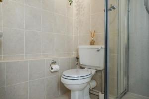a bathroom with a toilet and a shower at South Devon - River Dart Views - Free Parking - Pet Friendly in Galmpton-on-the-Dart +20 photos