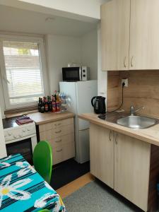 Kuchyňa alebo kuchynka v ubytovaní Apartmán se dvěma ložnicemi