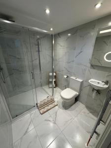 a bathroom with a shower and a toilet and a sink at Luxury, Tranquillity Near Beach in Carbis Bay