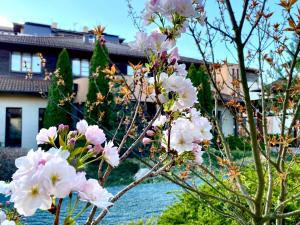 Zahrada ubytování Caramell Premium Resort Superior