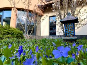 Zahrada ubytování Caramell Premium Resort Superior + 37 fotografií
