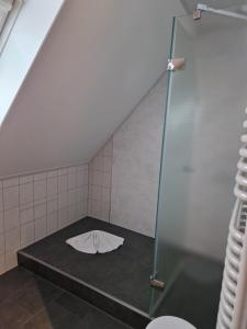 Koupelna v ubytování Haus Bachmatt