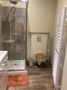 Un baño con inodoro y ducha de cristal. en Séquoi, en Vals-les-Bains