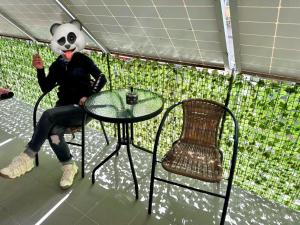 a person in a panda mask sitting at a table at Studio in Dorohoi