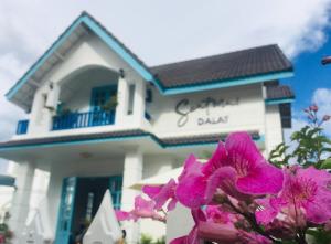 a house with pink flowers in front of it at Santorini Homestay in Da Lat +72 photos