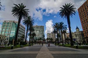 a city street with palm trees and buildings at Montevideo Chic Hostel in Montevideo