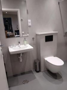 a bathroom with a sink and a toilet at Pálína Cottage studio in Selfoss