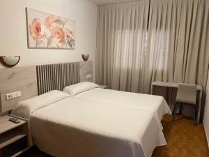 a bedroom with a bed and a desk and a window at Hotel Praderón in San Sebastián de los Reyes
