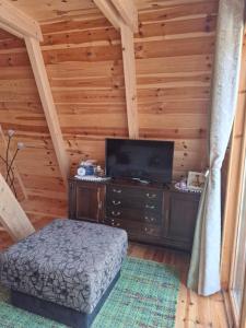 a living room with a tv in a log cabin at Squirrel's House in Žabljak