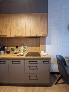 Η κουζίνα ή μικρή κουζίνα στο Apartament Moja Magdalenka