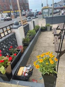 Gallery image of The Hawkes Hotel in Blackpool
