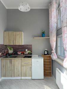 Η κουζίνα ή μικρή κουζίνα στο Apartament Wikoli 2