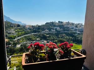 un vaso di fiori rossi seduto sul davanzale di una finestra di Casa Mercurio a Scala