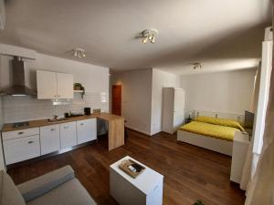 a living room with a bed and a kitchen at Apartment Lilly with Amazing City View in Hvar