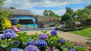 - un jardin avec des fleurs violettes en face d'une piscine dans l'établissement Domaine de Keryargon, Chambres d'hôtes B&B et Location de Vacances, à Belz