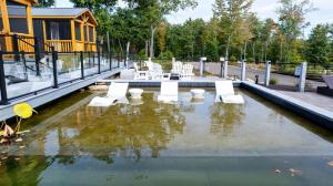 Κήπος έξω από το JUNCO LIMIT 4 cabin